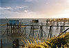 Carrelets