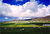 Pr� irlandais 