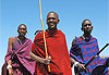 Danseurs Masai