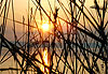 Coucher de soleil sur le Balaton