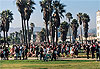 Los Angeles, un dimanche � Venice Beach