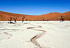 Dead Vlei