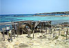 Formentera