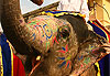 Divers Rajasthan