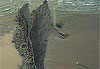 Plage � la hauteur de Wimereux, C�te d�Opale