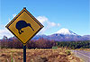 Le Mt Ngauruhoe