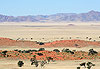 D�sert de Namibie