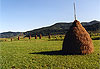 R�gion de Maramures 