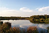Lac aux Everglades