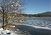 Le lac du Bouchet ( Lac de Crat�re)