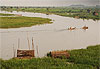 Campagne cambodgienne