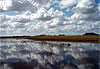 Everglades