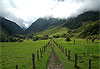 Parc de Cocora