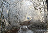 Givre