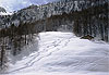 Paysage alpin