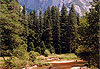Yosemite