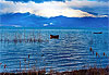 Lac de beysehir paradis des oiseaux