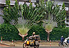 Deux-roues � Porto-Novo