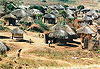 Petit village au Malawi