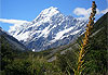 Mt Cook