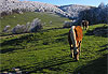Plateau d�Ambel