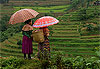 It�s raining again