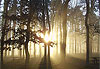 St F�rr�ol sous la brume