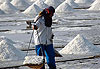 Marais salants