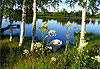 Bord de lac