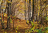 Automne en Alsace