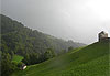 Bosmendietta