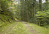 Haute vall�e du Doux