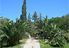 Jardin espagnol