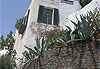 Agaves � Cadaqu�s