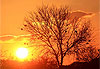 Couch� de soleil sur le Selous