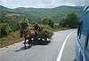 Transport mac�donien