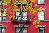 Fa�ade East village
