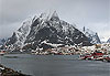 Reine