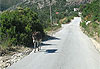 La grand route littorale entre Sarand� et Dh�rmi