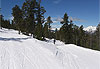 Pistes de ski de fond