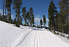 Suivez la piste