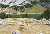 Parc National de Durmitor