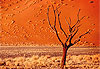 Dune 45.. une autre vue...