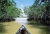 Everglades Boat