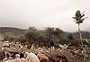 Sur la route de Djibouti ville