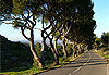 Route en Provence