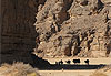 Caravane du tassili n�ajjer