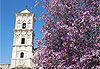 Larnaca St Lazare