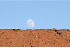 On a march� sur la lune