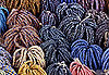 Perles au march� de Koforidua